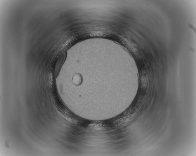 X0000097810211200804111000