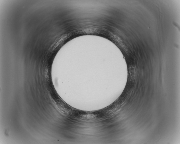 X0000097810212200804110959