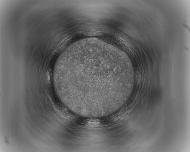 X0000097810214200804110959