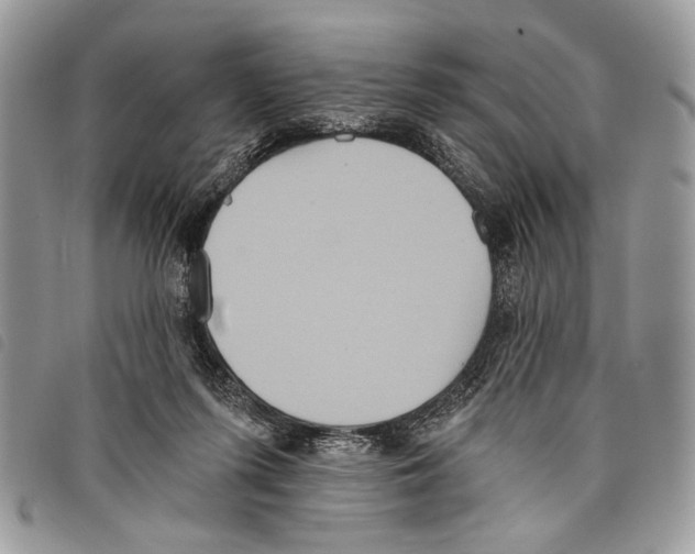 X0000097810215200804110959