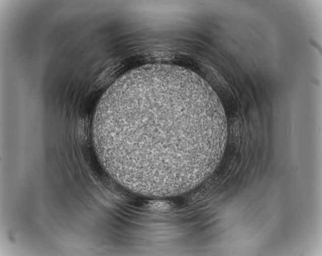 X0000097810218200804110959