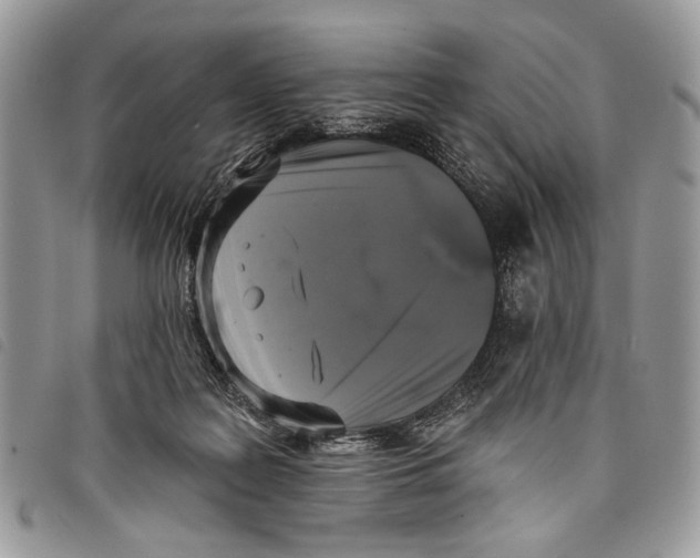 X0000097810219200804110959