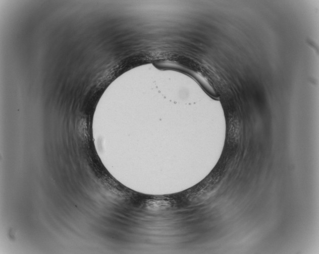 X0000097810220200804110959