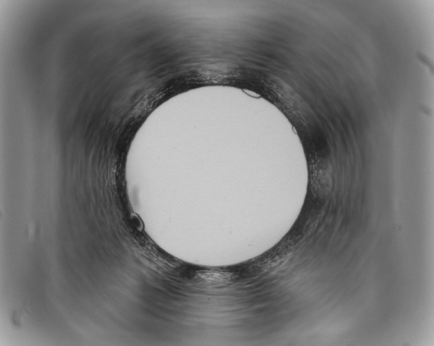 X0000097810221200804110959