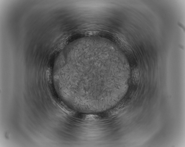 X0000097810222200804110959