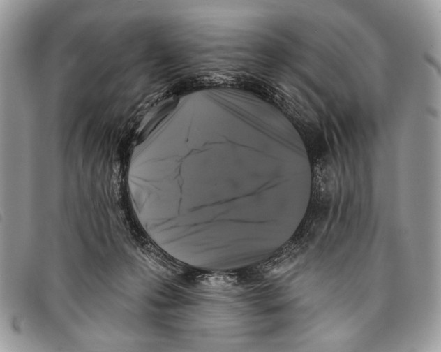 X0000097810223200804110959