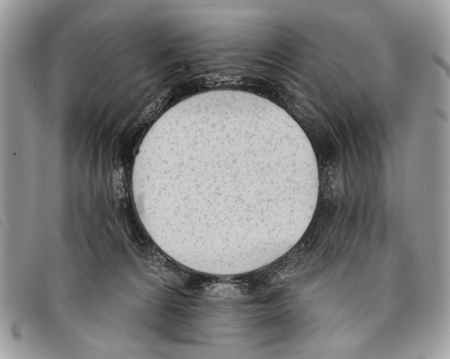 X0000097810224200804110959