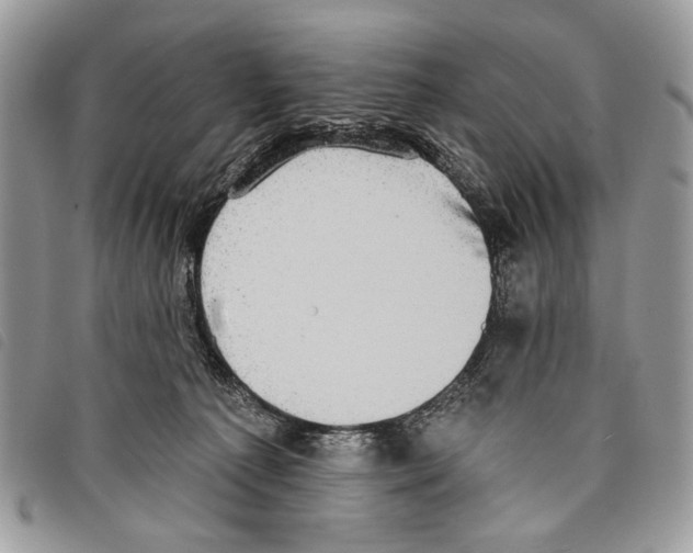 X0000097810225200804110959