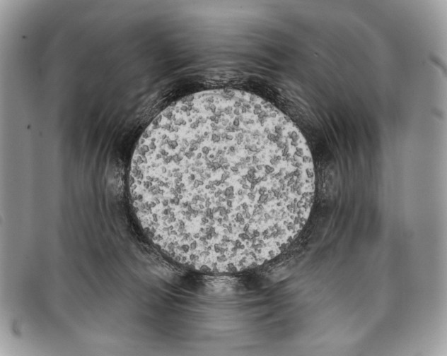 X0000097810226200804110959