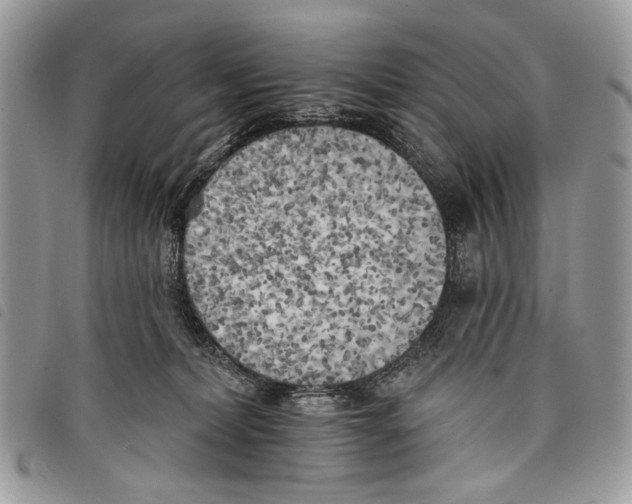 X0000097810228200804110959