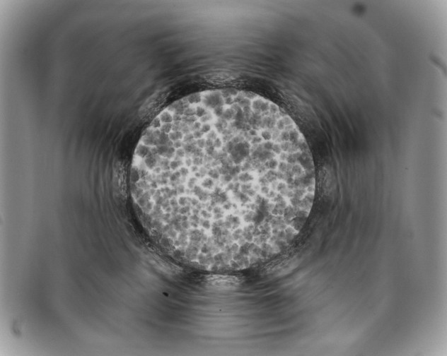 X0000097810234200804110959