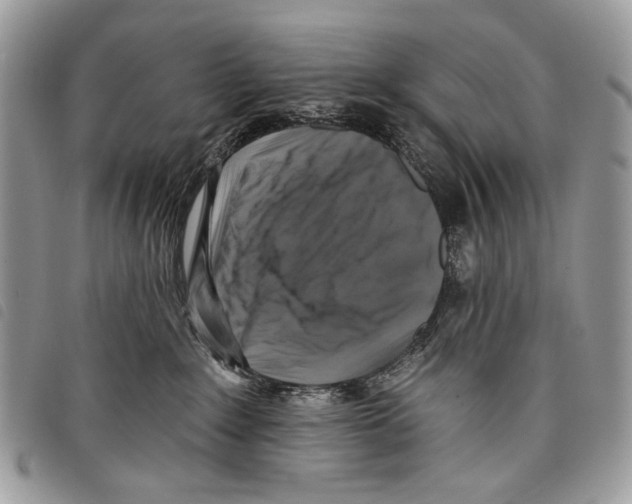 X0000097810235200804110959