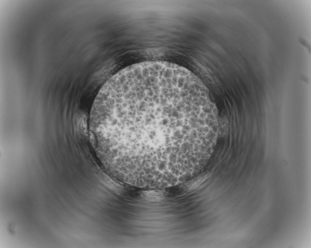 X0000097810238200804110959