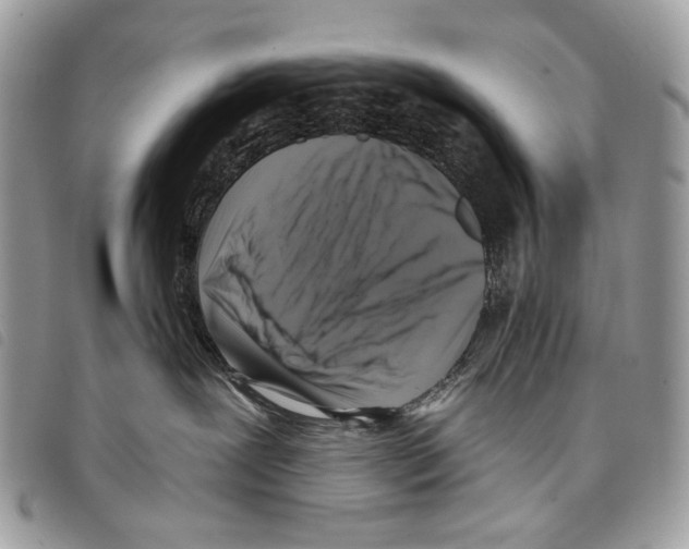 X0000097810239200804110959