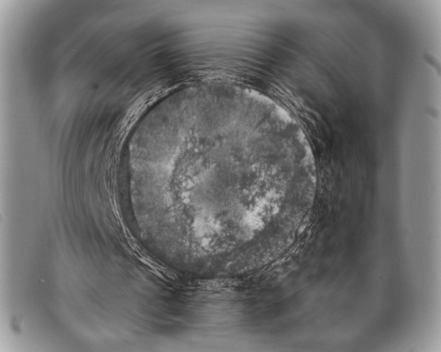 X0000097810241200804110958