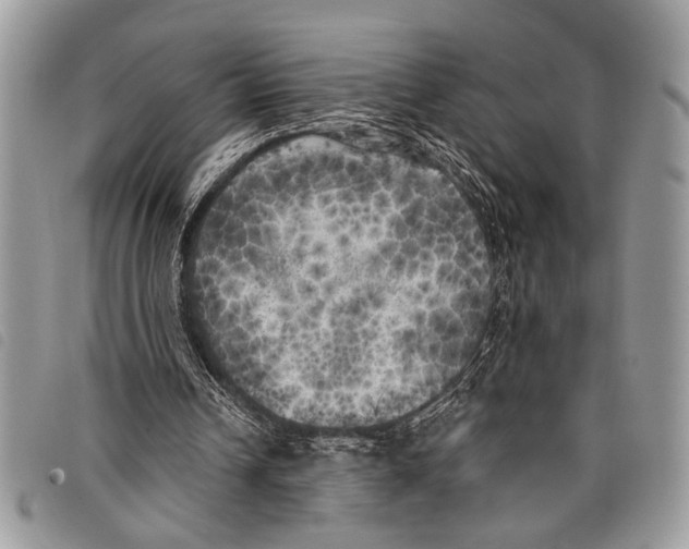 X0000097810242200804110958