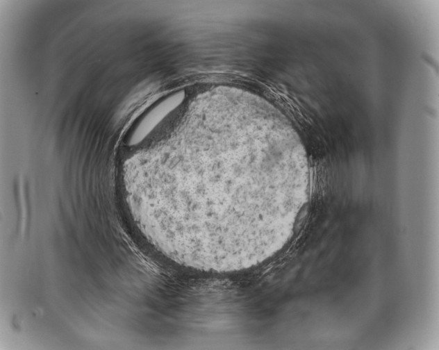 X0000097810243200804110958