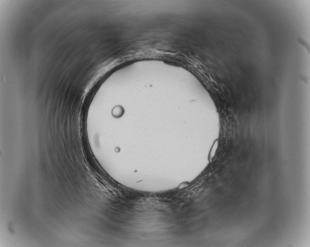 X0000097810244200804110958