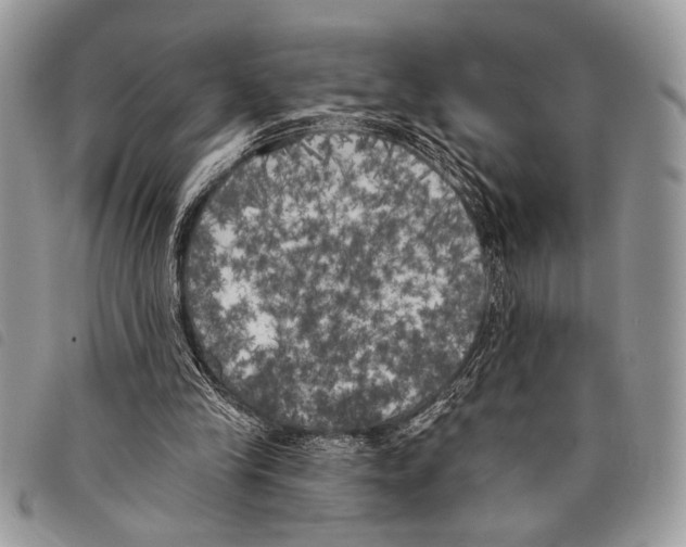 X0000097810245200804110958