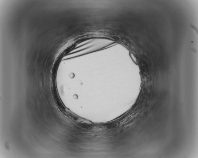 X0000097810248200804110958