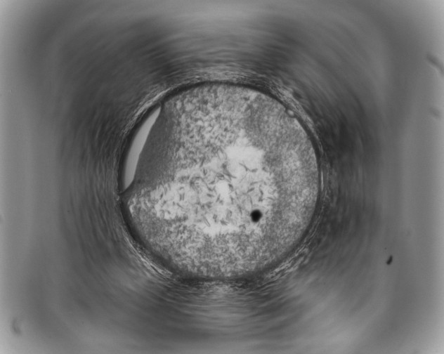 X0000097810249200804110958