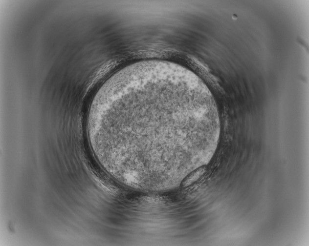 X0000097810250200804110958