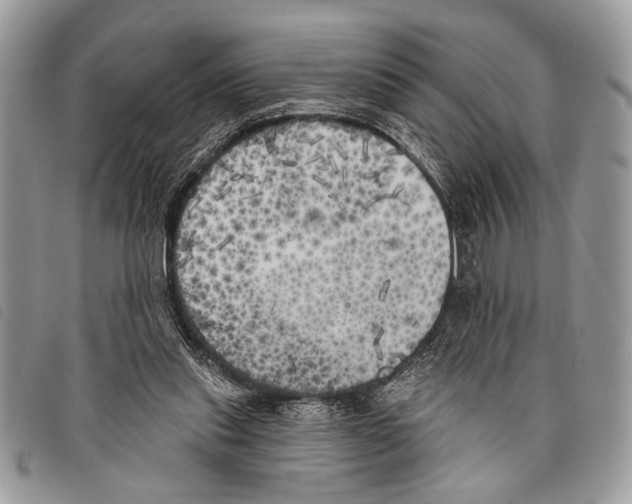 X0000097810253200804110958