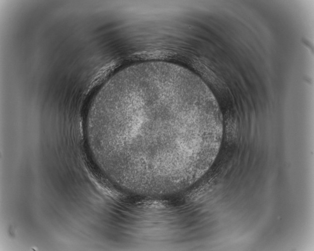 X0000097810254200804110958