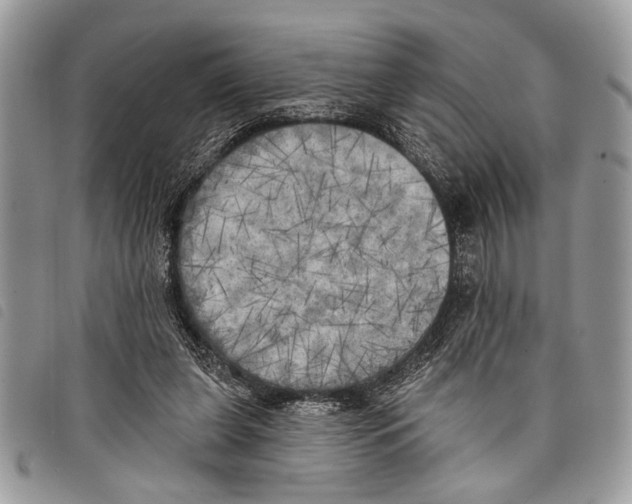 X0000097810255200804110958