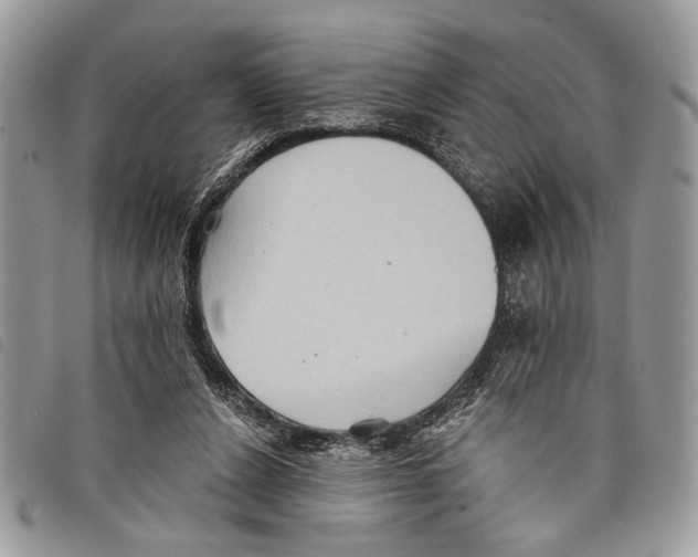 X0000097810256200804110958