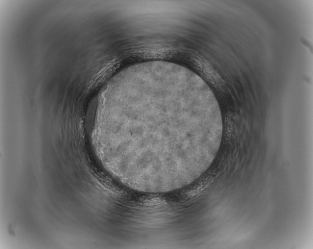 X0000097810258200804110959