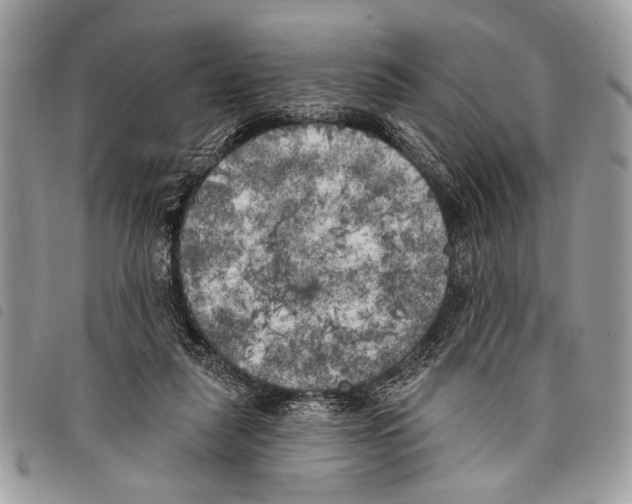 X0000097810259200804110959