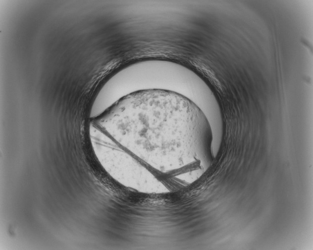 X0000097810260200804110959