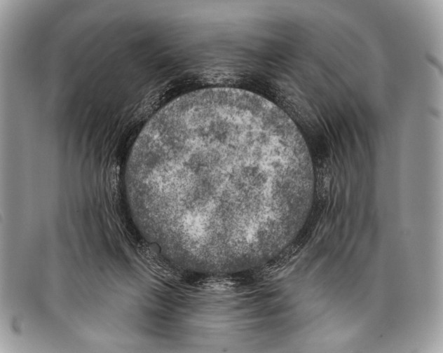 X0000097810263200804110959