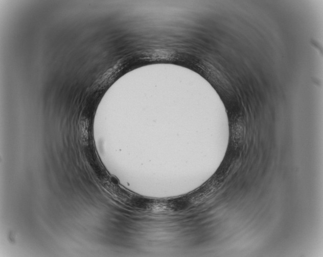 X0000097810264200804110959