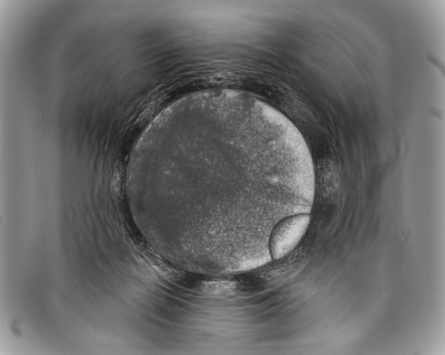 X0000097810266200804110959