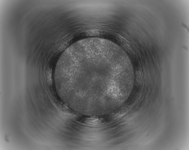 X0000097810267200804110959