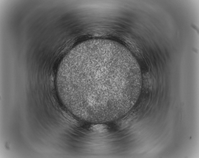 X0000097810269200804110959