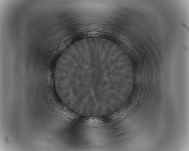 X0000097810270200804110959