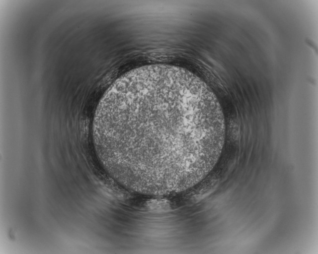 X0000097810271200804110959