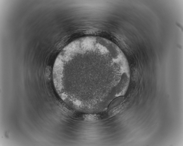 X0000097810273200804110959