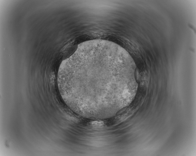 X0000097810279200804110959