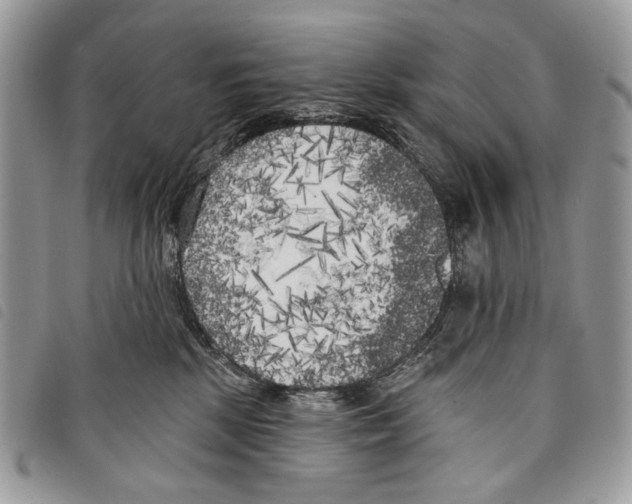 X0000097810281200804110959