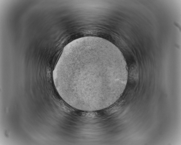 X0000097810282200804110959