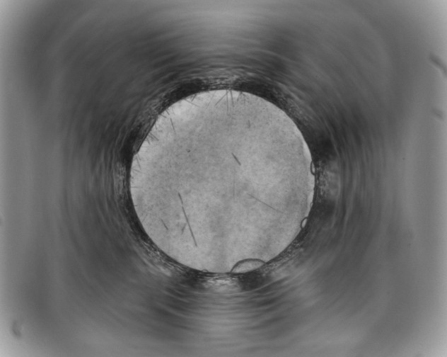 X0000097810283200804110959