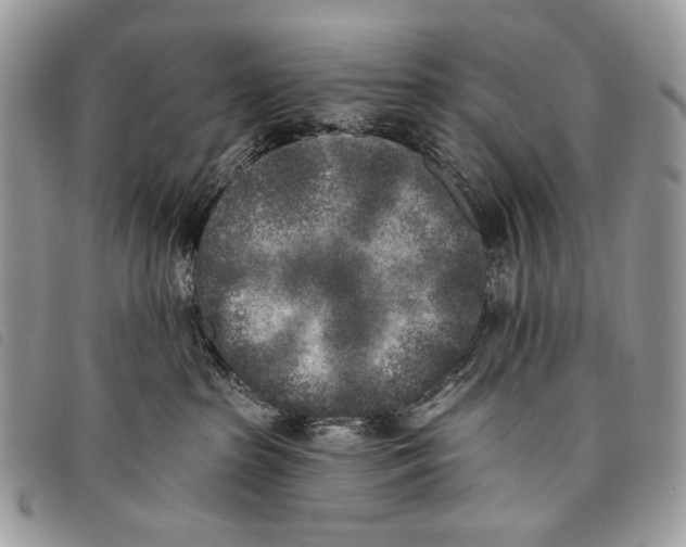 X0000097810285200804110959