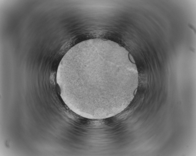 X0000097810286200804110959