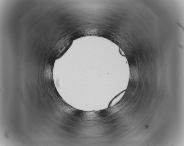 X0000097810287200804110959