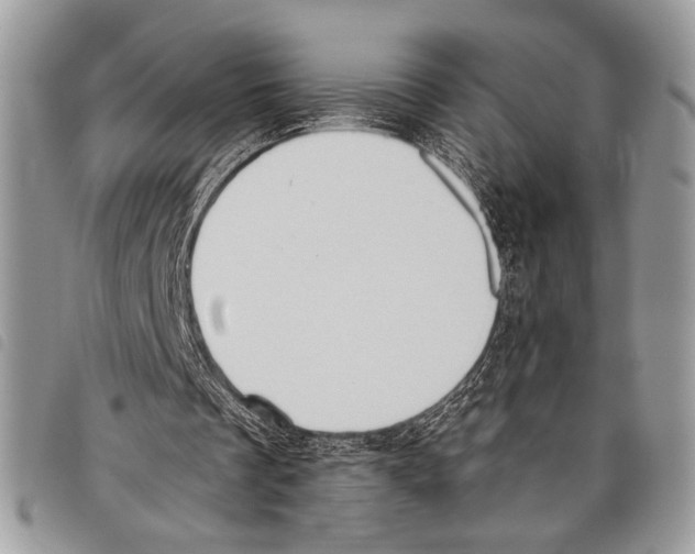 X0000097810289200804110958