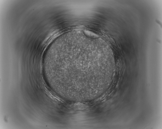 X0000097810290200804110958